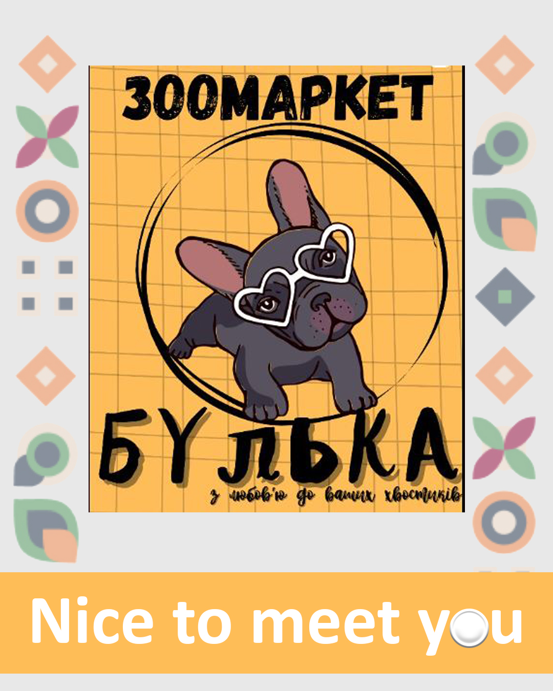 Nice to meet you, Зоомаркет "Булька"